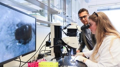 APPLY: 2022 EPFL School of Life Sciences Summer Research Program
